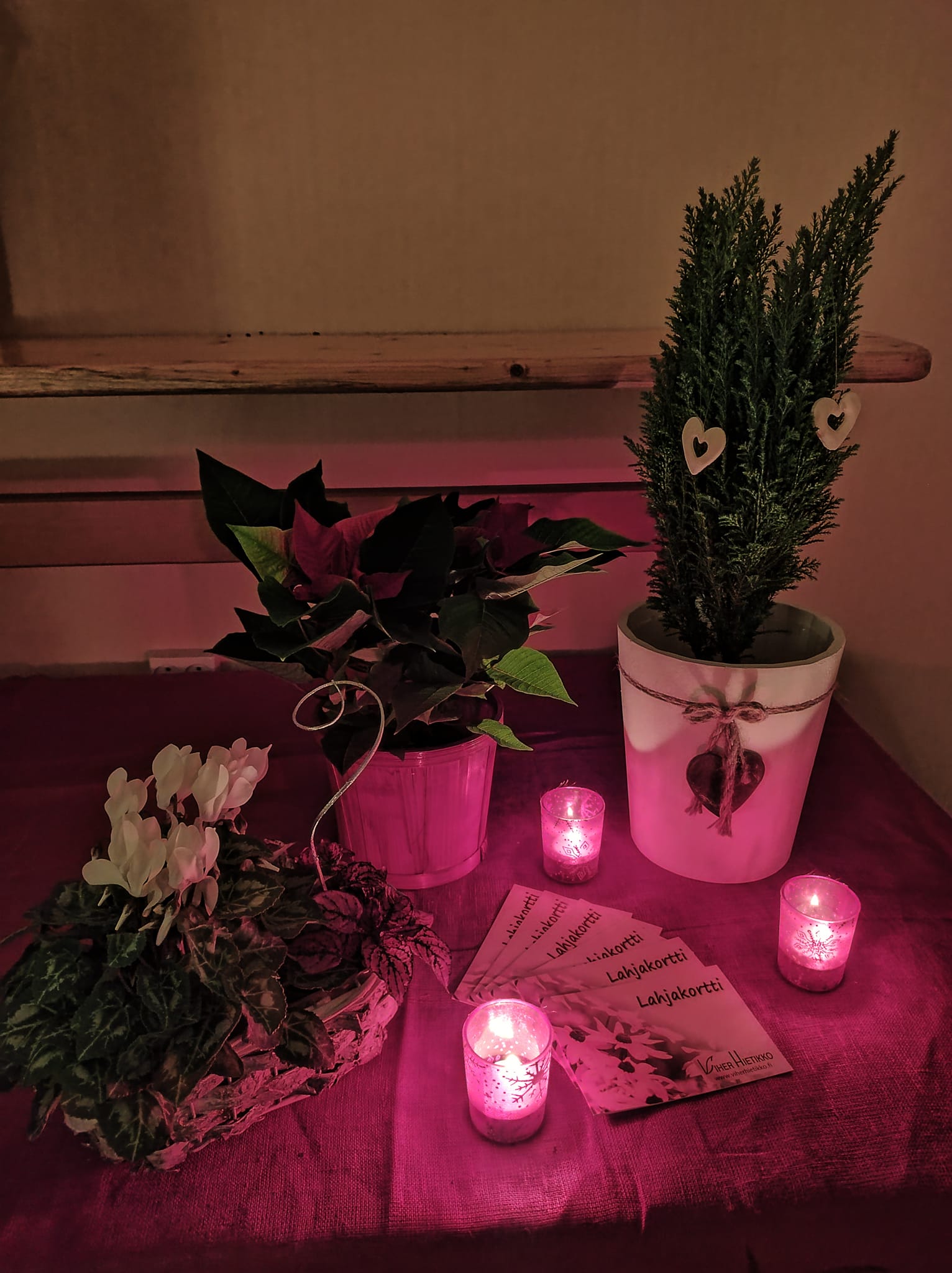 Tervetuloa joulukukkaostoksille